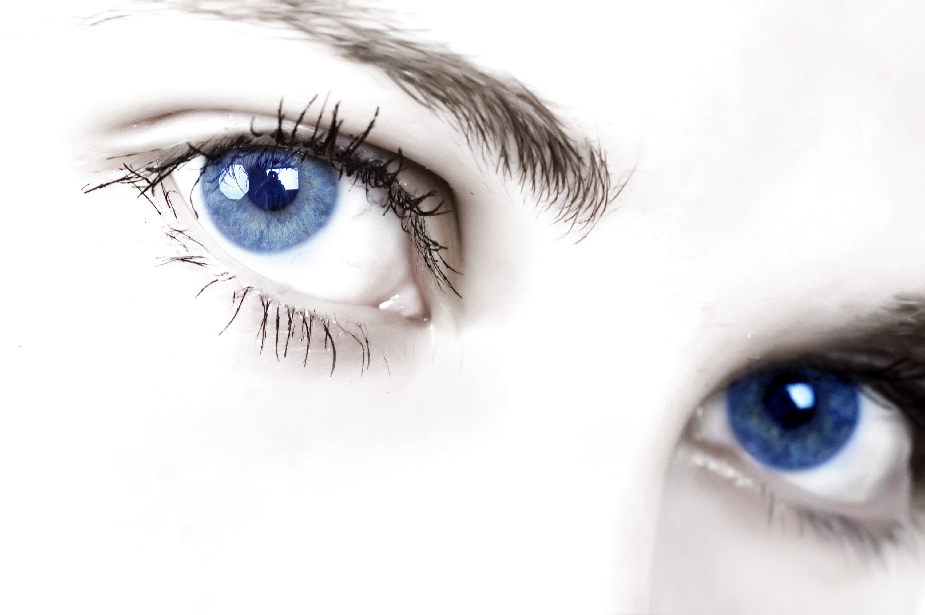 Голубоглазые родственники. Небесно голубые глаза. Синие глаза. Голубой цвет глаз. Бело голубые глаза.